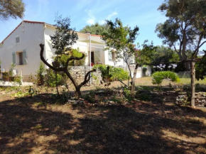 Bonifacio, maison 90m² sous les oliviers, vue Sardaigne